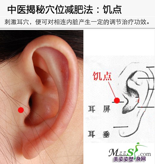 耳针减肥的常用穴位及处方选择